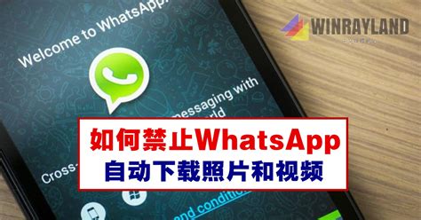 如何轻松应对WhatsApp使用限制？